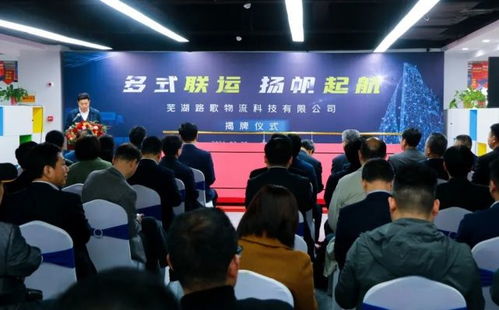 國內首個互聯網多式聯運平臺浮出水面