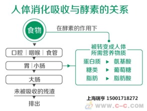 上海港日本大高酵素報關商檢服務