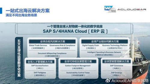 全球供應鏈管理 數字化戰略引領企業出海成功