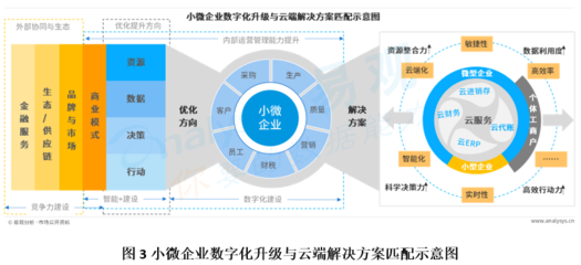 《中國(guó)小微企業(yè)云服務(wù)市場(chǎng)專題分析2020》解讀-現(xiàn)狀篇
