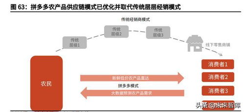 社區團購行業深度報告 聚焦家庭廚房,回歸供應鏈升級本質